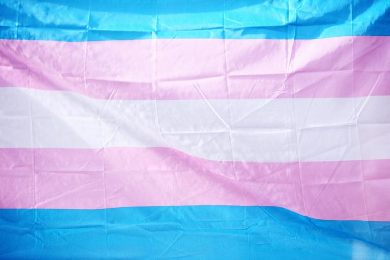 Transgender counseling l St. Petersburg, FL l McNulty Counseling